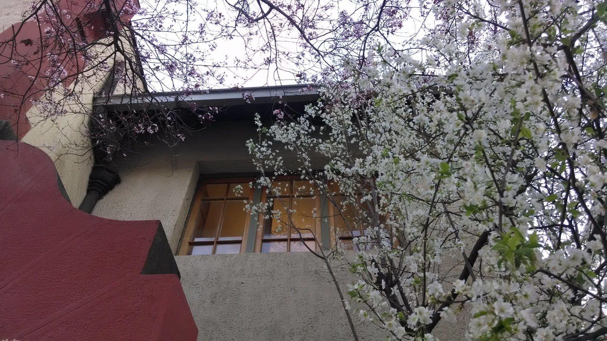 Providencia Bed & Breakfast Сантяго Екстериор снимка
